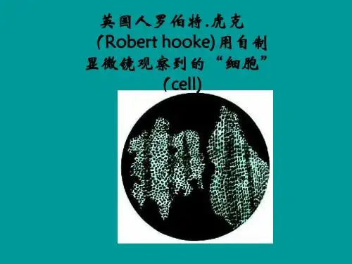 植物细胞的结构和功能课件