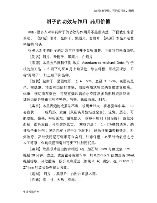 附子的功效与作用 药用价值