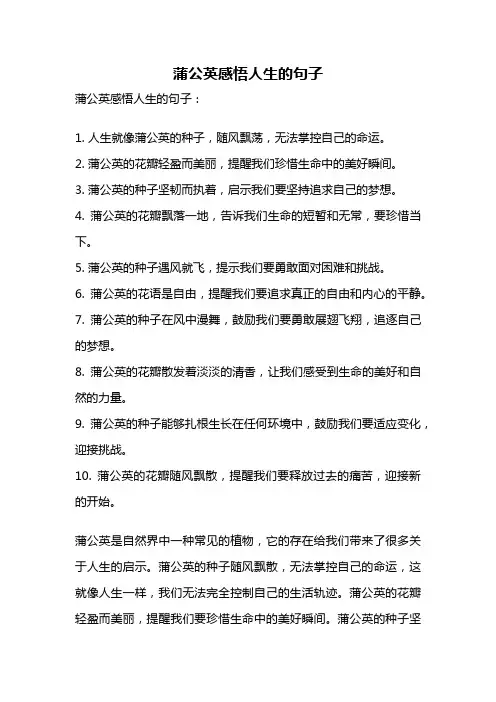 蒲公英感悟人生的句子
