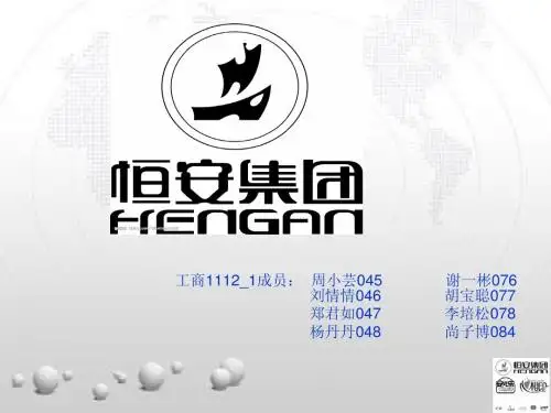 恒安集团简介 (2)