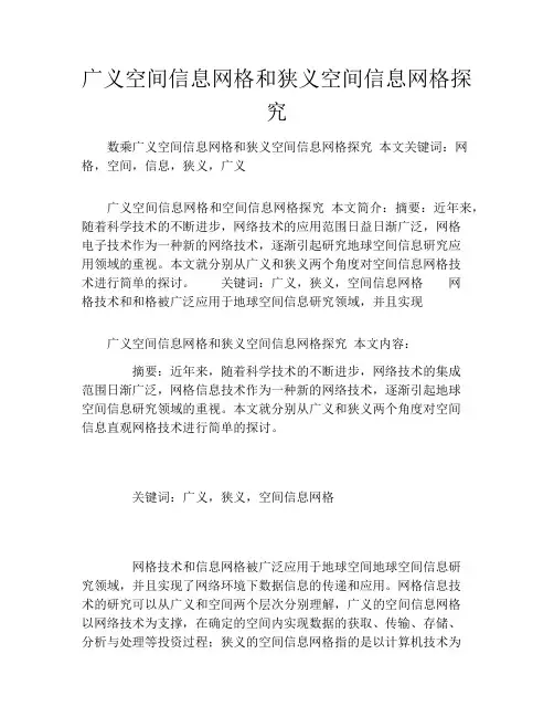 广义空间信息网格和狭义空间信息网格探究