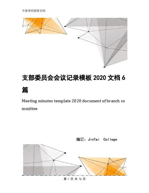 支部委员会会议记录模板2020文档6篇