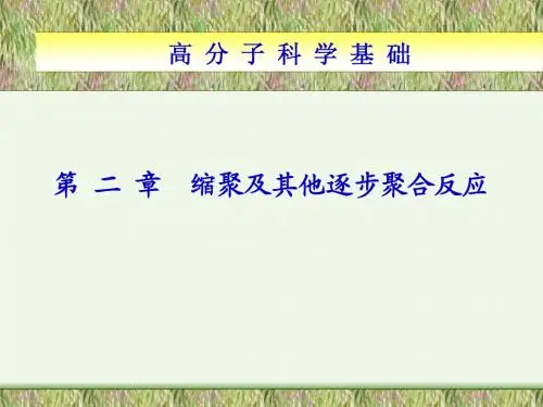 缩聚及其他逐步聚合反应