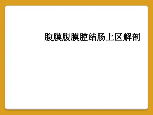 腹膜腹膜腔结肠上区解剖