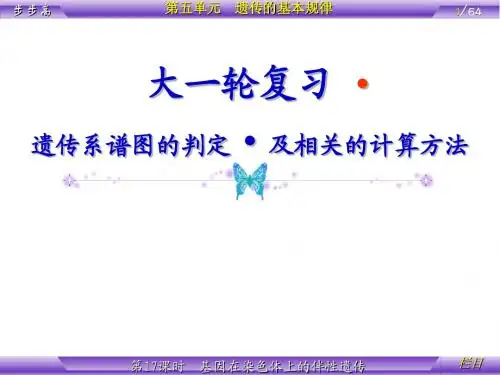 遗传系谱图