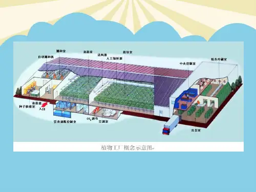 植物工厂形式最全PPT