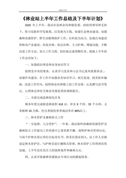 2021年《林业站上半年工作总结及下半年计划》
