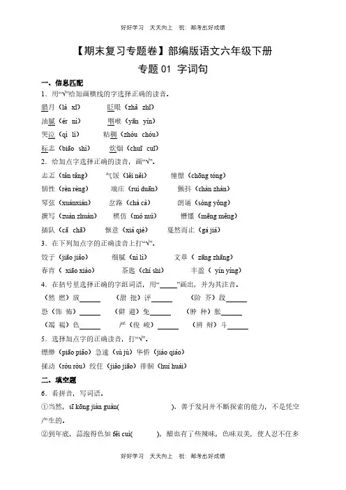 【期末复习专题卷】部编版语文六年级下册专题01 字词句测试试卷(含答案)