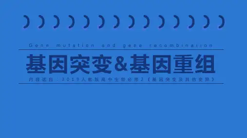 人教版 高中生物 新教材 必修2 第5章 第1节 基因突变与基因重组