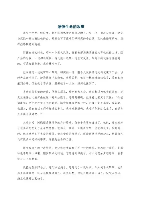 感悟生命的故事