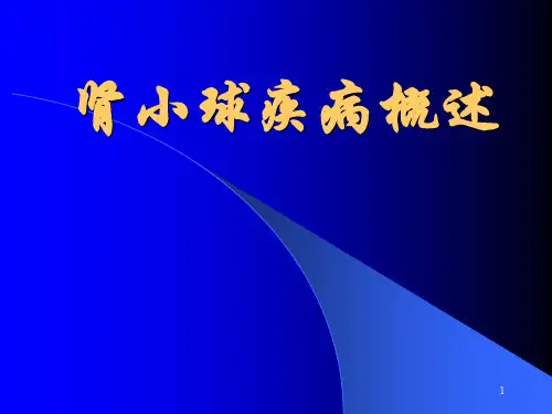 肾小球疾病