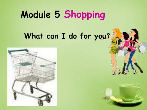 外研版七年级英语下册 Module 5 Unit 1 What can I do for you