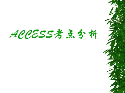 全国计算机等级考试二级ACCESS考点分析8精品PPT课件