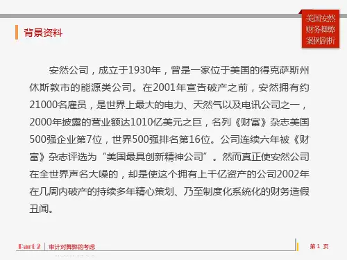 美国安然公司舞弊案例(普通屏)