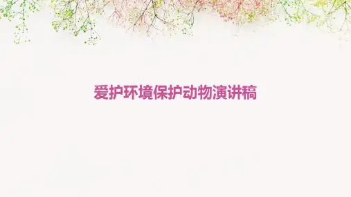 爱护环境保护动物演讲稿PPT