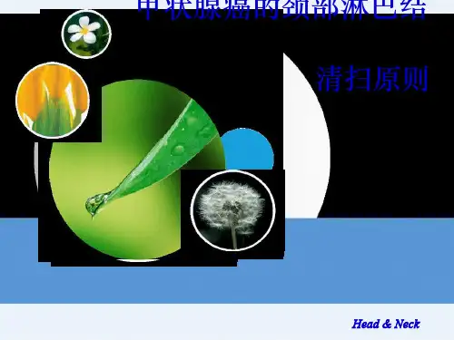 甲状腺癌的颈部淋巴结清扫原则复旦大学附属肿瘤医院吴毅教授
