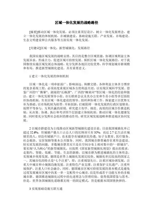 区域一体化发展的战略路径
