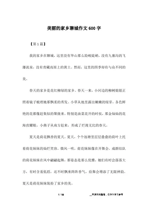 美丽的家乡聊城作文600字