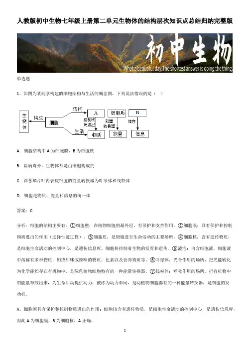 人教版初中生物七年级上册第二单元生物体的结构层次知识点总结归纳完整版