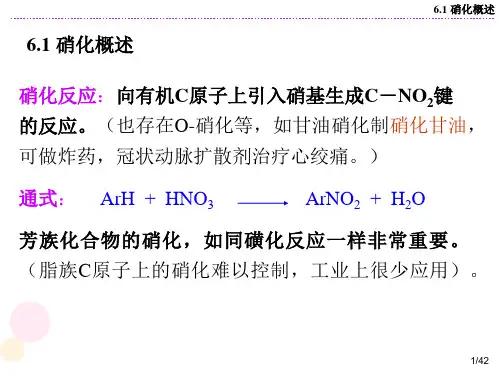 经济学硝化和亚硝化