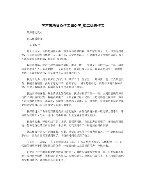 琴声感动我心作文800字_初二优秀作文
