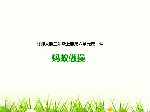 小学数学北师大版ppt《蚂蚁做操》PPT课件免费1