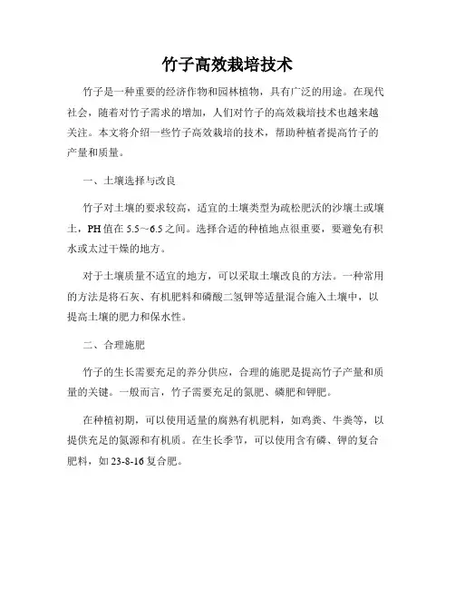 竹子高效栽培技术