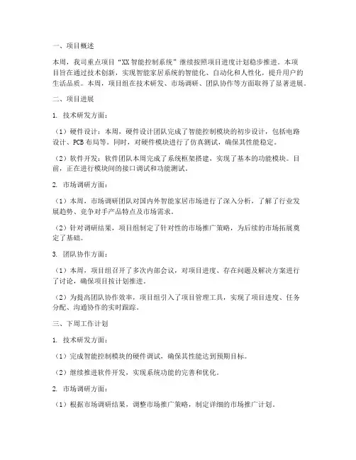 重点项目周报总结范文