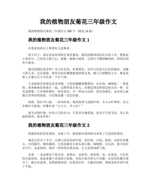 我的植物朋友菊花三年级作文