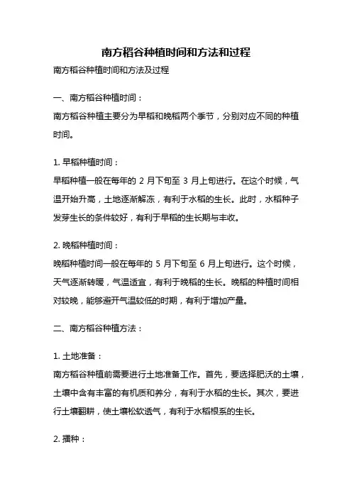 南方稻谷种植时间和方法和过程