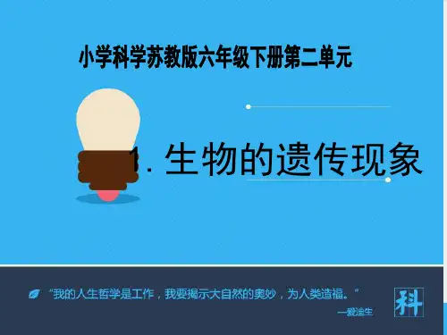 最新苏教版小学科学六年级下册《生物的遗传现象》公开课课件