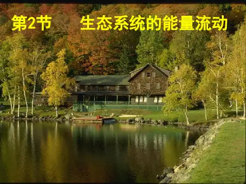 生态系统能量流动分析
