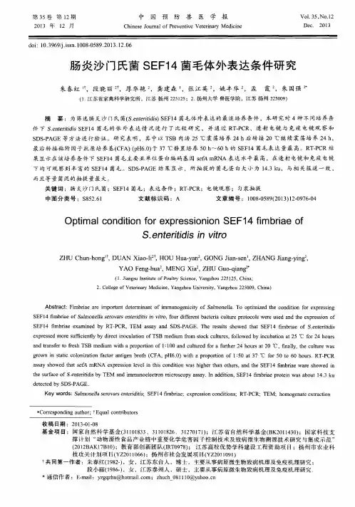 肠炎沙门氏菌SEF14菌毛体外表达条件研究