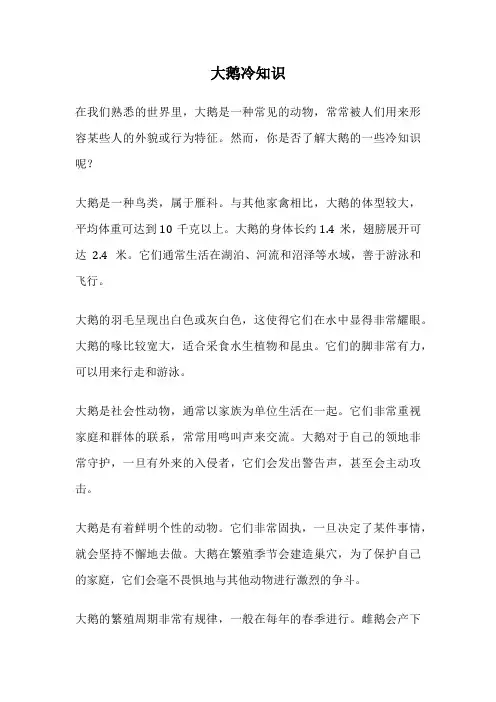 大鹅冷知识
