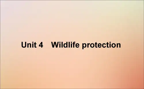 2021高考英语一轮复习Unit4Wildlifeprotection课件新人教版必修2