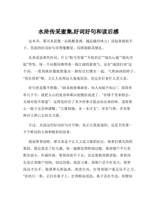 水浒传采蜜集,好词好句和读后感