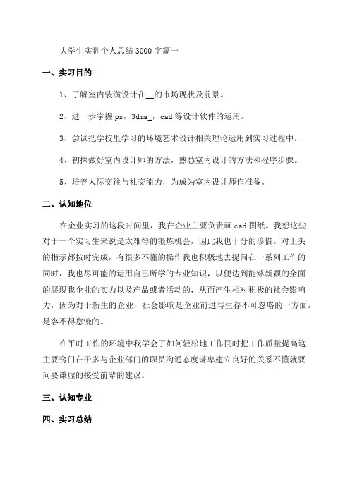 2023年大学生实训个人总结3000字(优秀十篇)