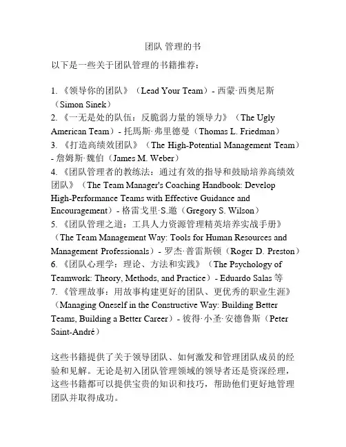 团队 管理的书