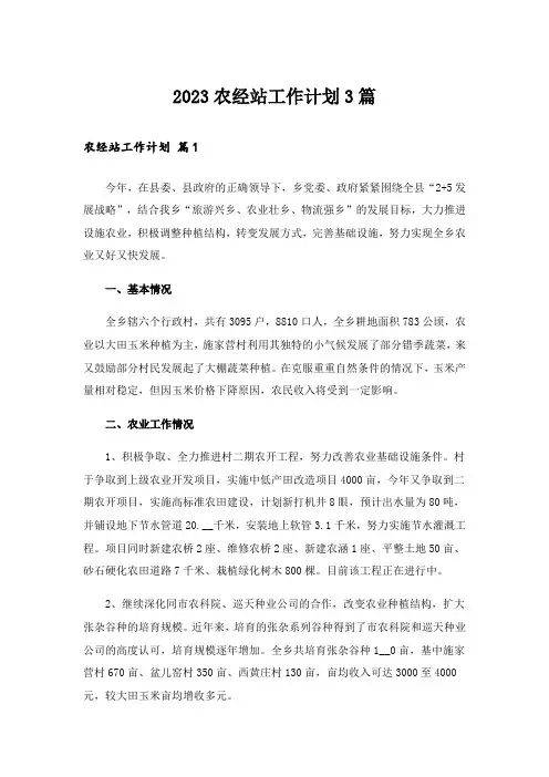2023农经站工作计划3篇