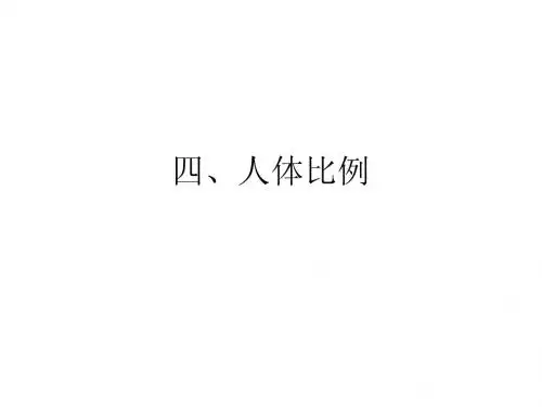 人体比例 庞老师