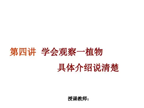 二年级下册作文指导第四讲学会观察一植物具体介绍说清楚部编版PPT