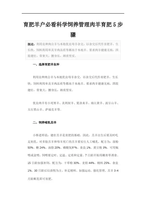 育肥羊户必看科学饲养管理肉羊育肥5步骤
