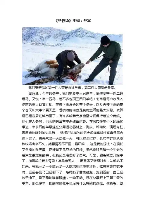 《冬牧场》李娟：冬宰