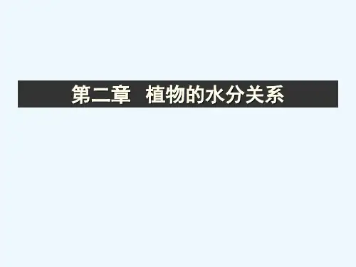 植物生理学植物水分关系