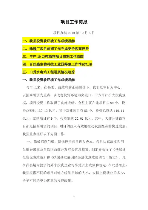 项目工作简报
