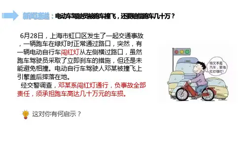 (核心素养目标)3.2遵守规则课件(共30张PPT)-(2024)统编版道德与法治八年级上册