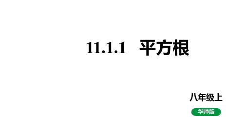 平方根课件(共24张PPT)八年级上册华师大版数学