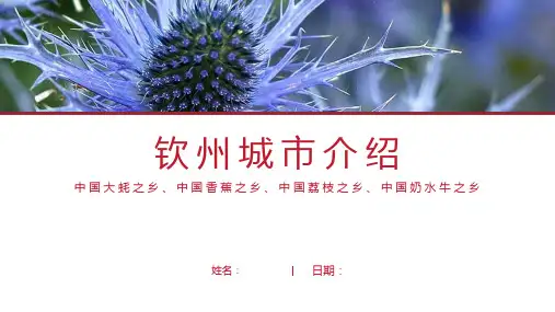 钦州介绍-钦州简介PPT(经典版)