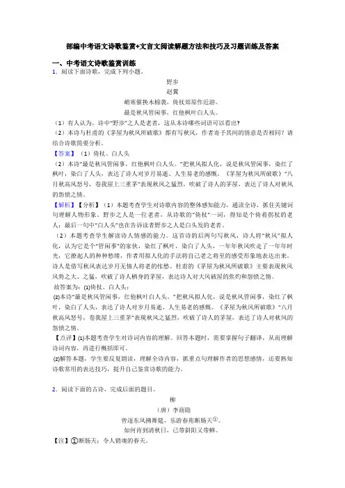 部编中考语文诗歌鉴赏+文言文阅读解题方法和技巧及习题训练及答案