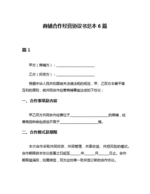 商铺合作经营协议书范本6篇
